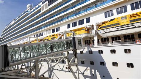 How Long Does It Take to Get Off a Cruise Ship and Why Do Seagulls Always Know When You're Leaving?